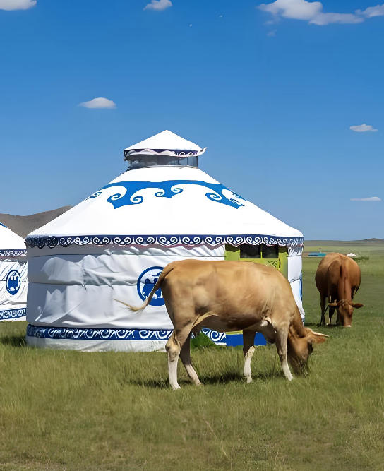 ScreenShot_2025-12-02_154756_592